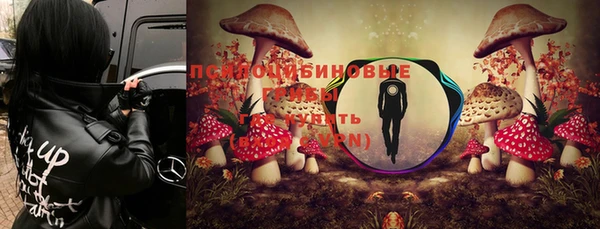 стафф Абинск
