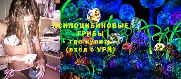 мяу мяу мука Абаза